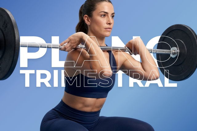 Plano Trimestral