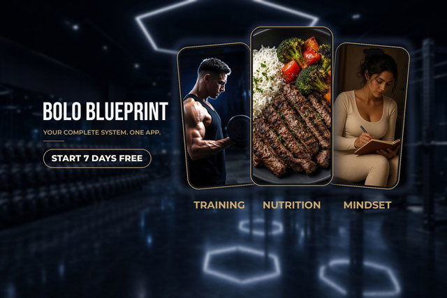 Bolo Blueprint App: Full Access