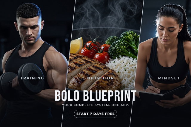 Bolo Blueprint App: Full Access
