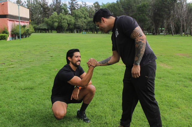 Funcional Numove Avanzado