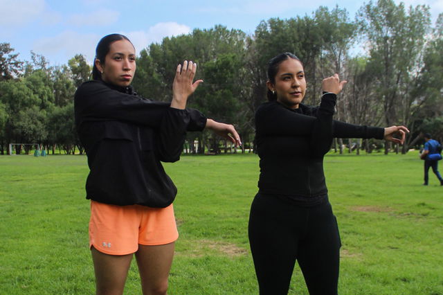 Funcional Numove Básico