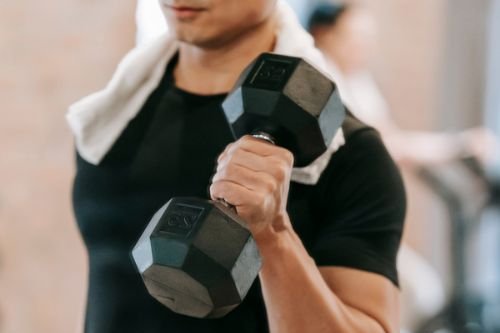 Traditional Gym Program