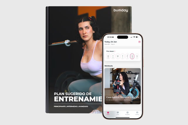 Programa Sugerido De Entrenamiento
