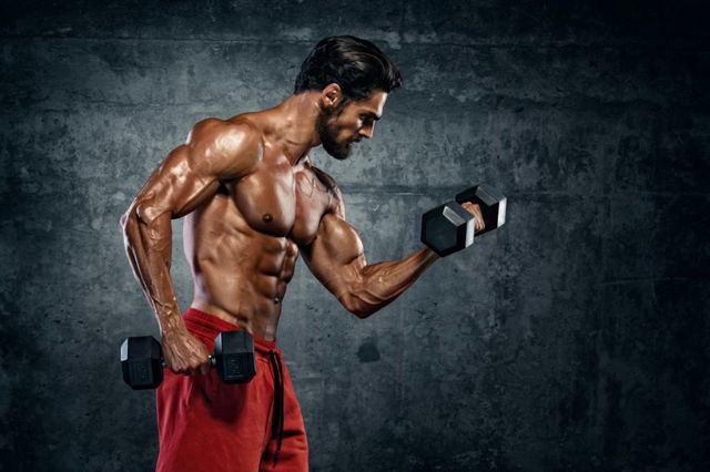 Build Muscle, Burn Fat, Anti-Aging, Recovery & Sleep Better