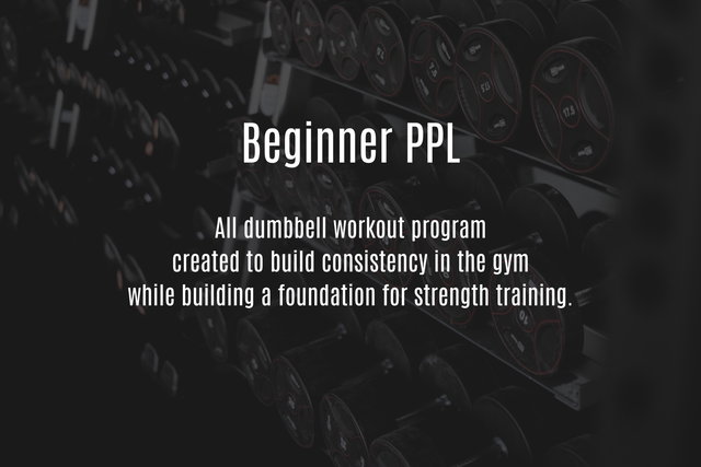 Beginner PPL program.