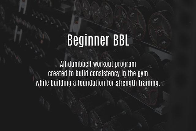 Beginner BBL program