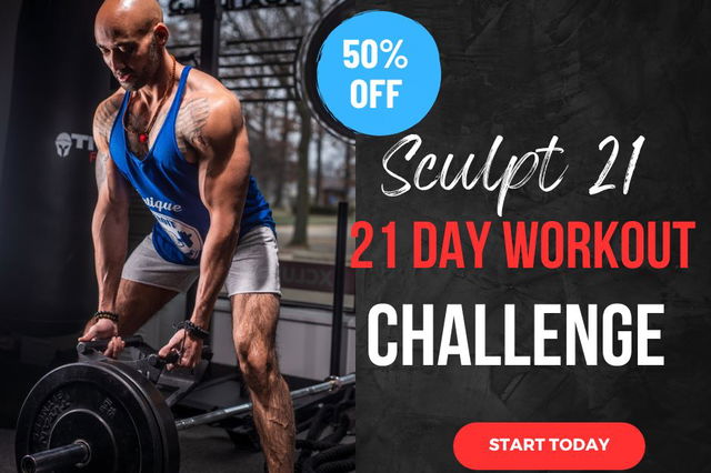 Sculpt 21 (Home Edition)