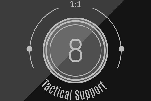 Integration Support Pack (Optional Add-On)