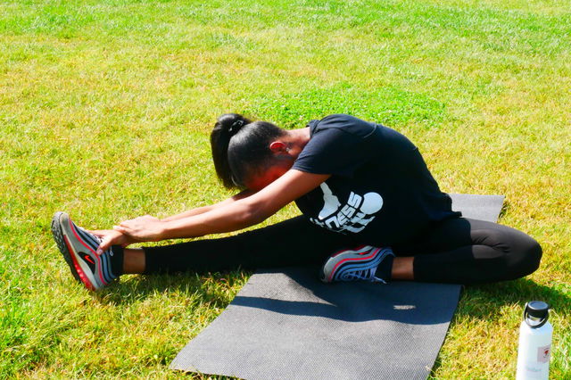 Home Energy- $49.99 (monthly subscription)