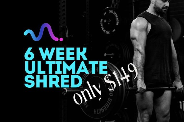 6 WEEK SHRED 
