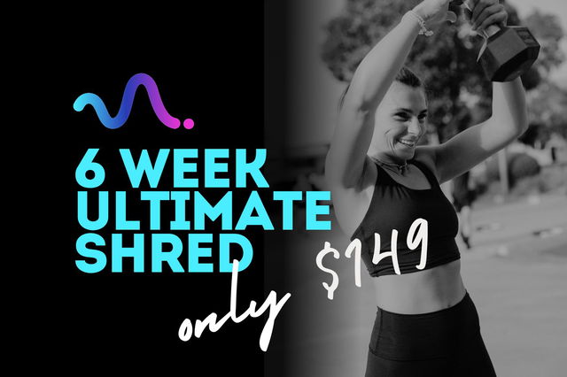 6 WEEK SHRED