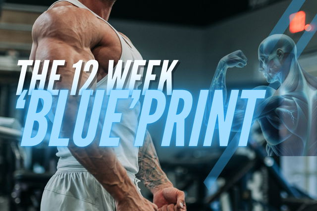 THE 12 WEEK BLUEPRINT