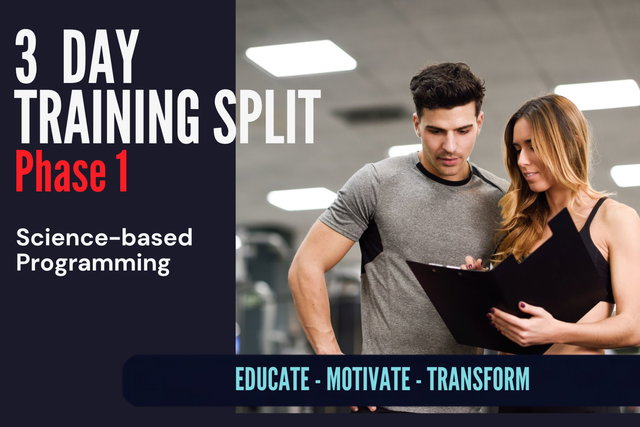3 Day Training Split Program (Phase 1)