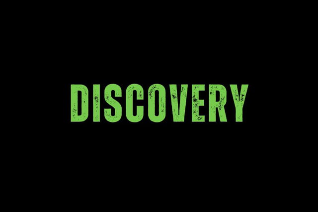 Free Discovery Call