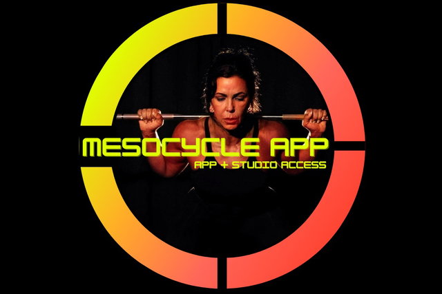 MESOCYCLE APP