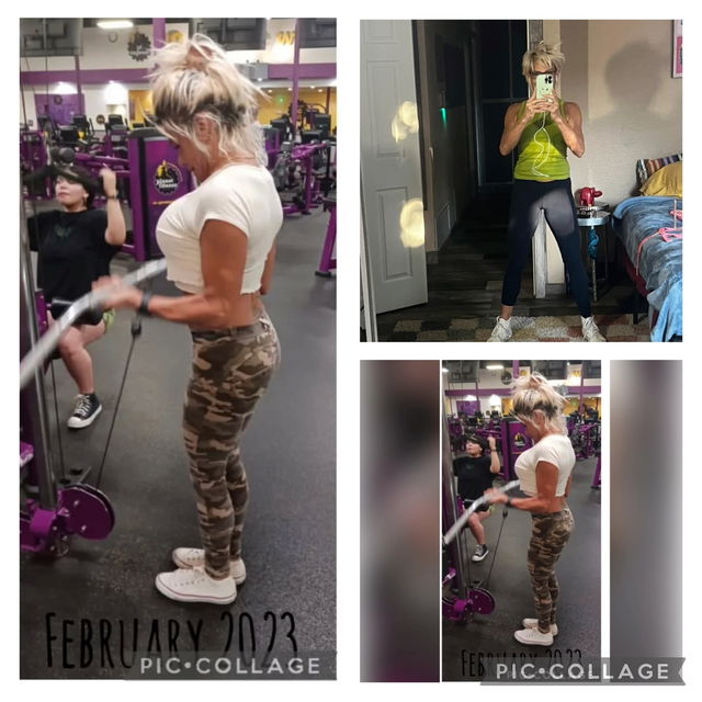 5 Day per Week  Workout Gym Based