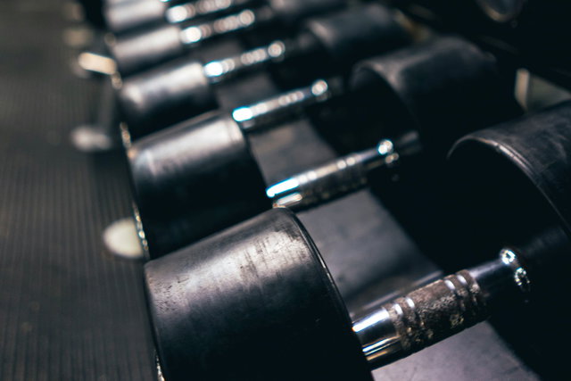 Biginner Silver Plan 