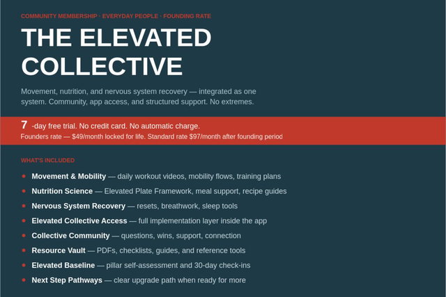 The Elevated Collective