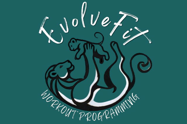 Workout Programming