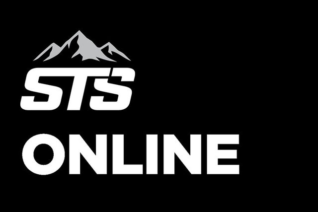 Online Coaching