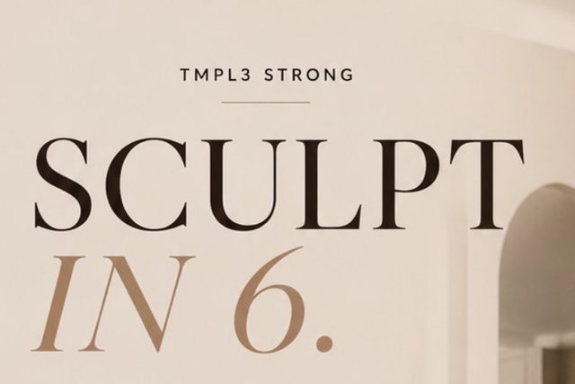 SCULPT IN 6