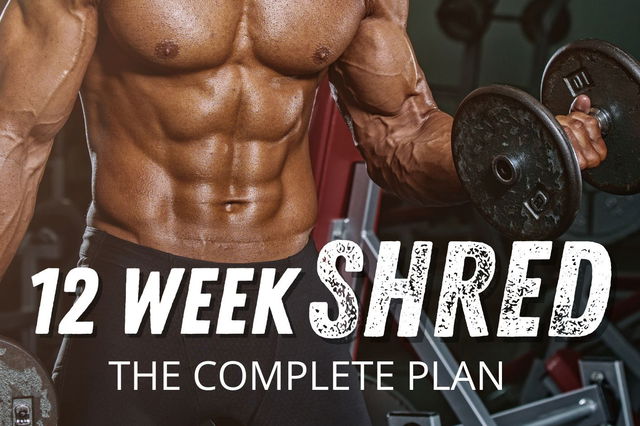 12 Week Shred