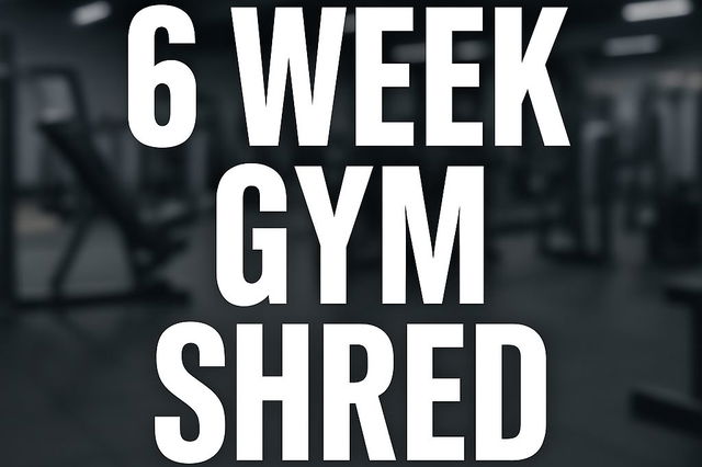 XYN 6 Week Gym Shred